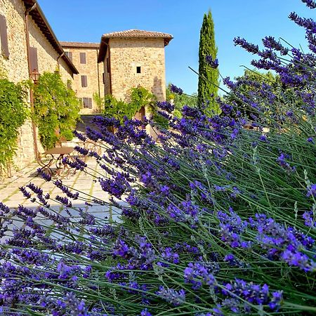 הוילה Castello Di Viano מראה חיצוני תמונה