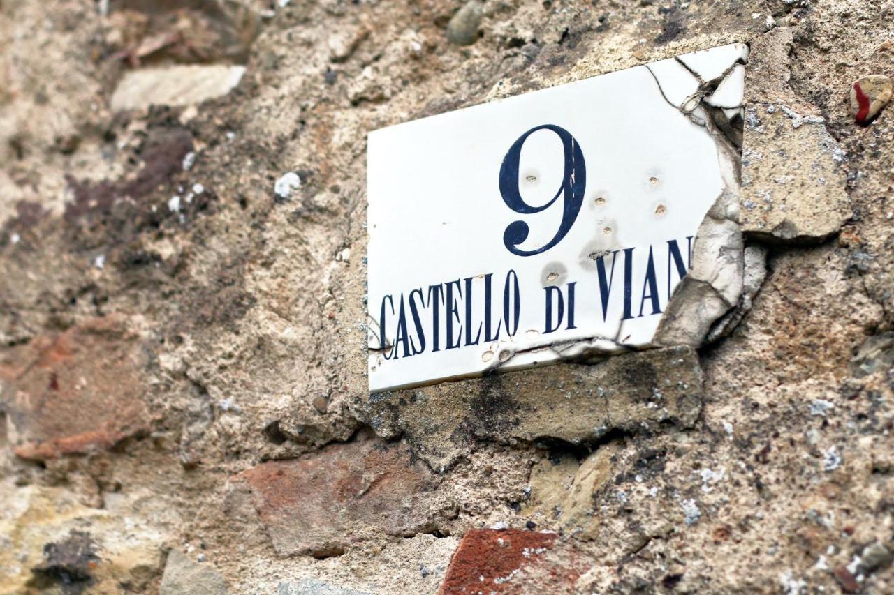 הוילה Castello Di Viano מראה חיצוני תמונה