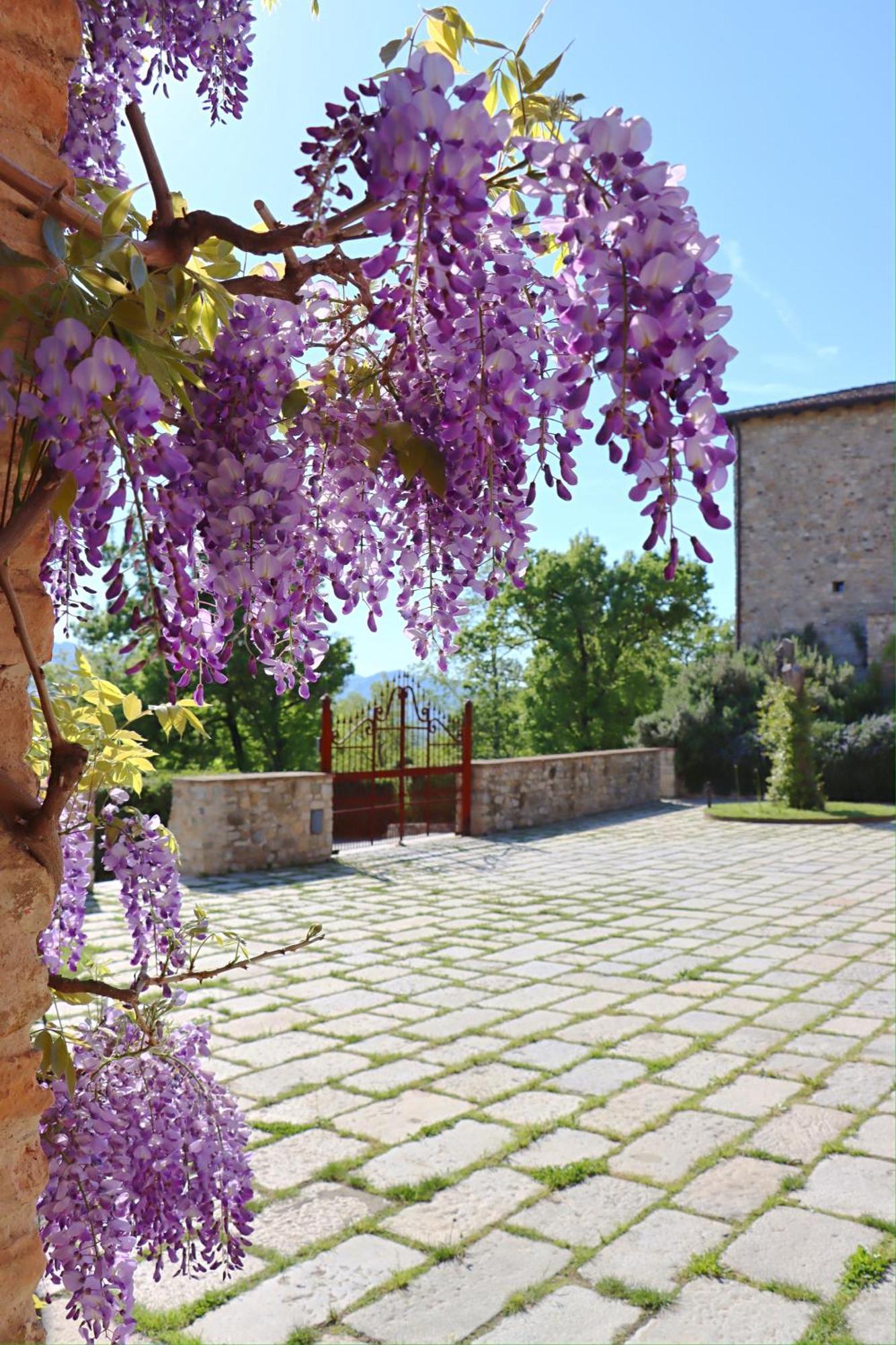 הוילה Castello Di Viano מראה חיצוני תמונה