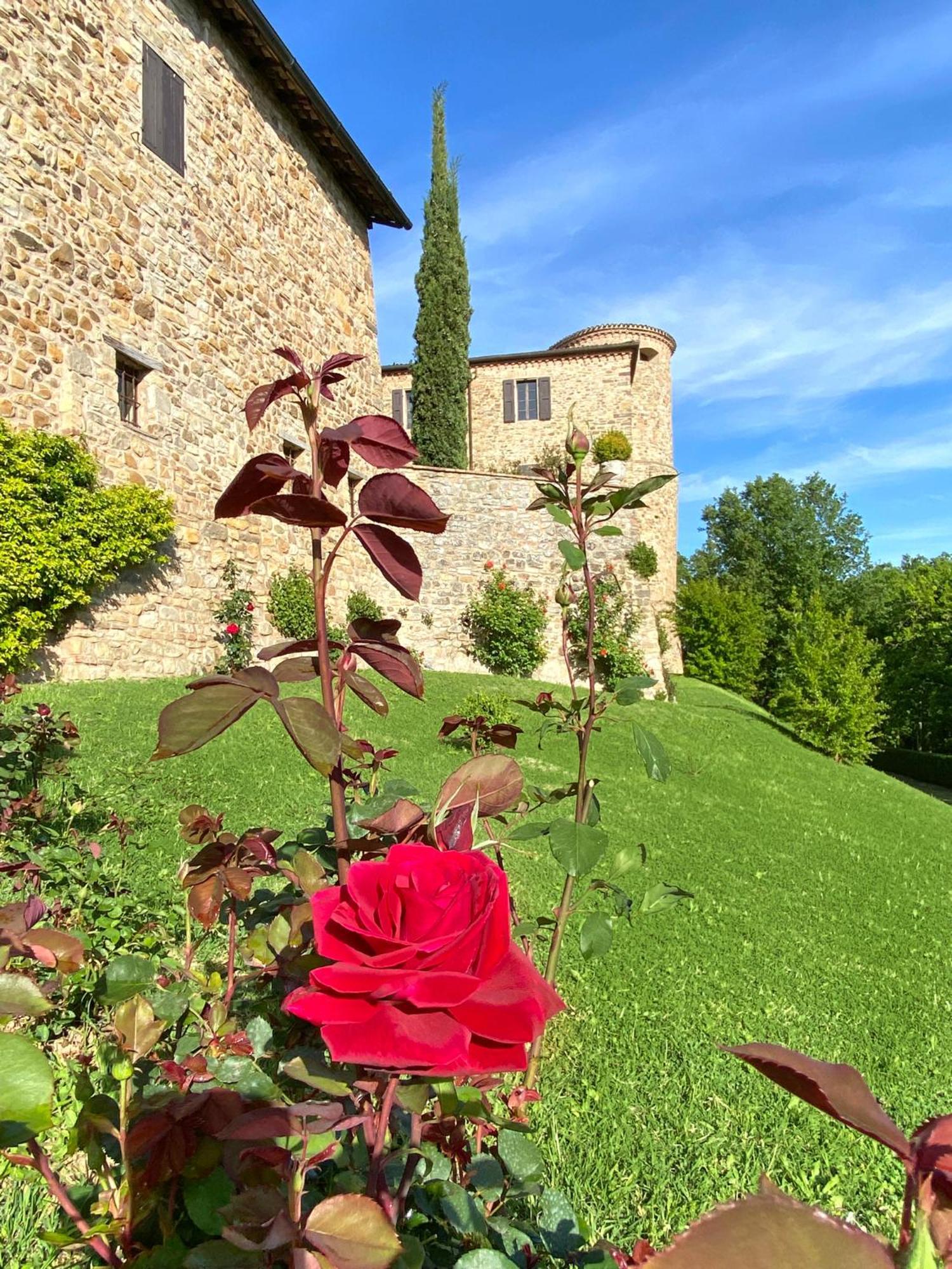 הוילה Castello Di Viano מראה חיצוני תמונה