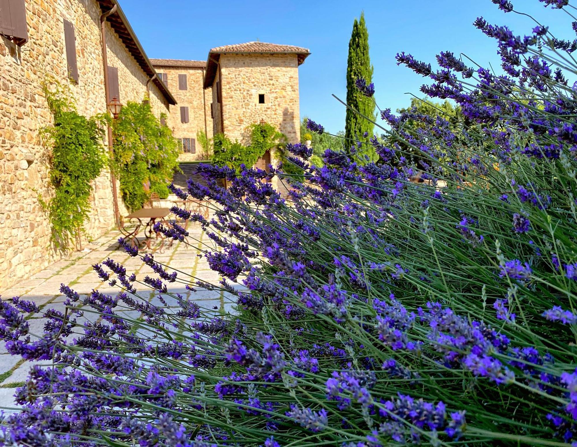 הוילה Castello Di Viano מראה חיצוני תמונה